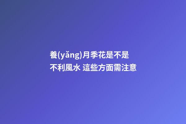 養(yǎng)月季花是不是不利風水 這些方面需注意